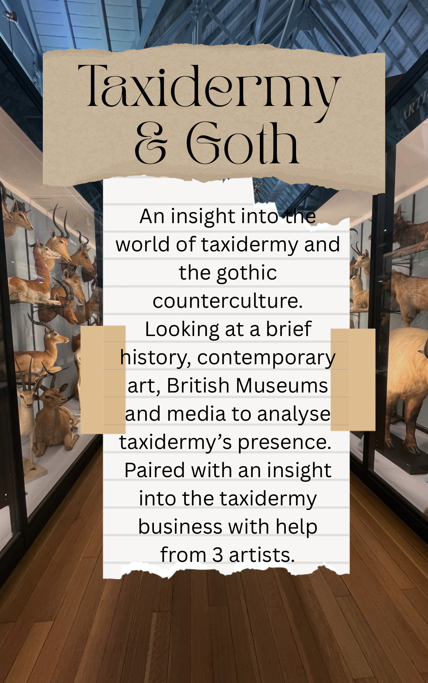 Taxidermy & Goth
