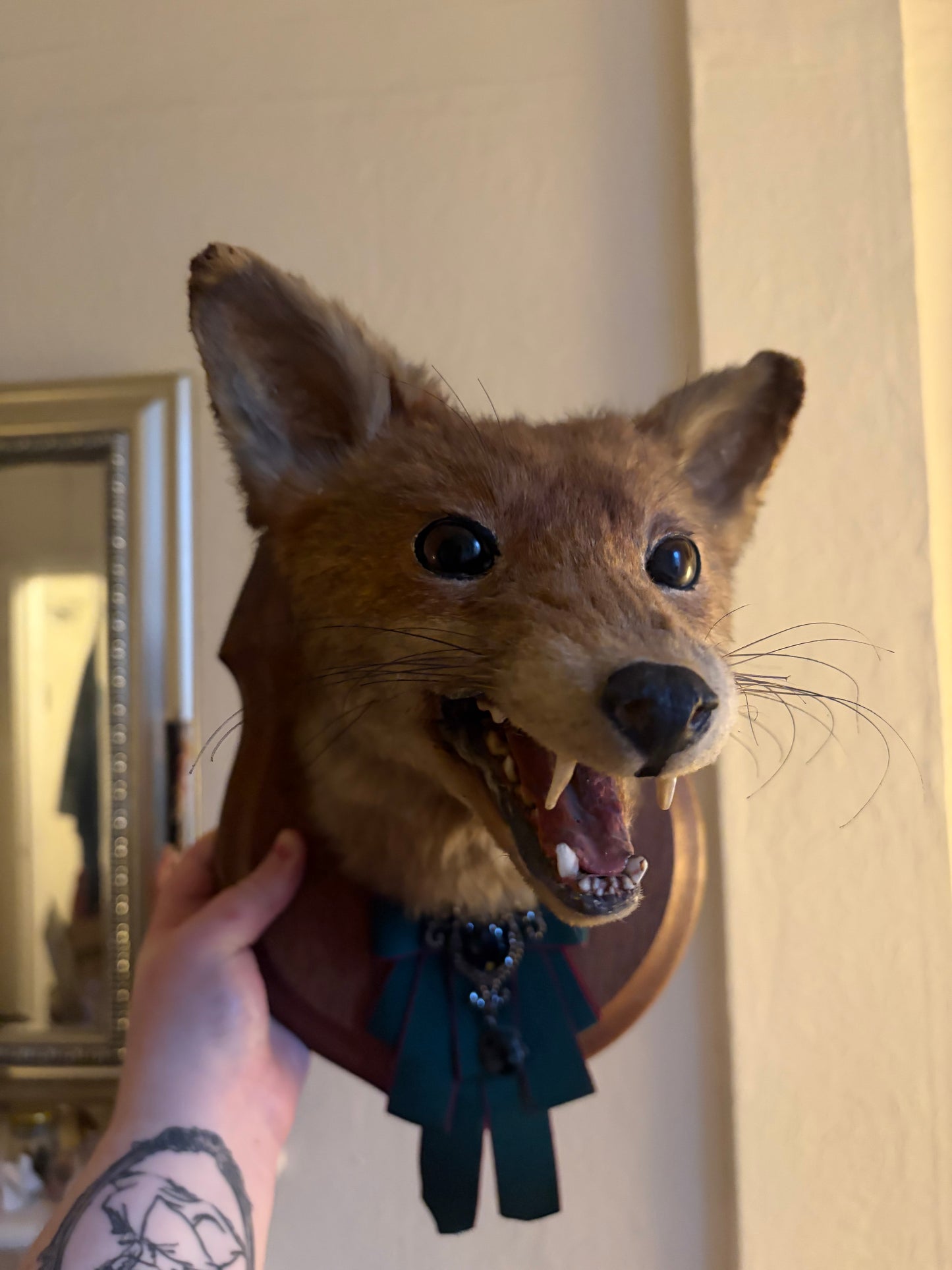 Fox trophy style mount