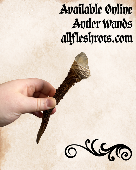 Antler Wand with Quartz