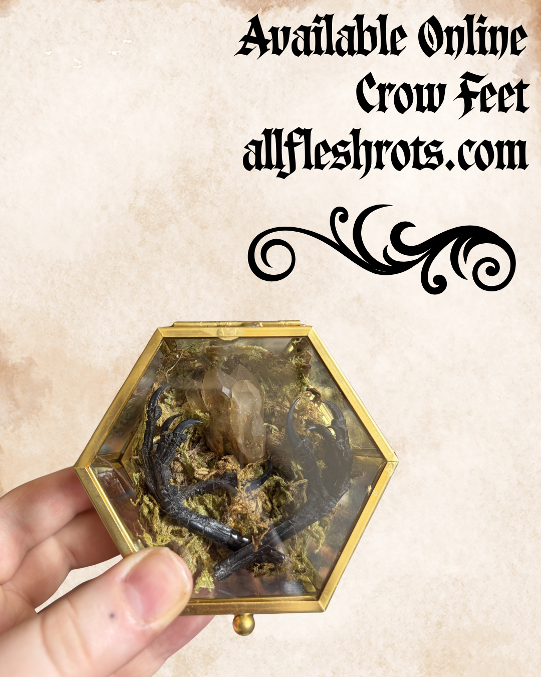 Crow's Feet Decor Box