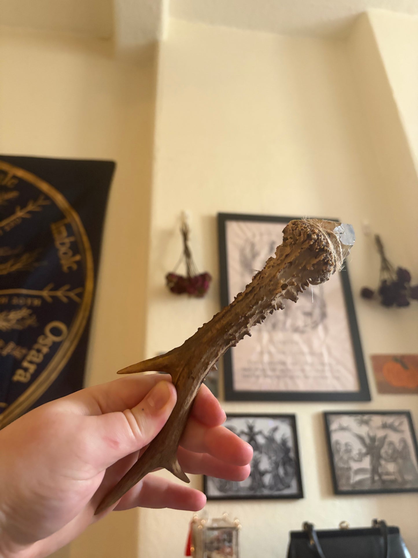 Antler wand with citrine point