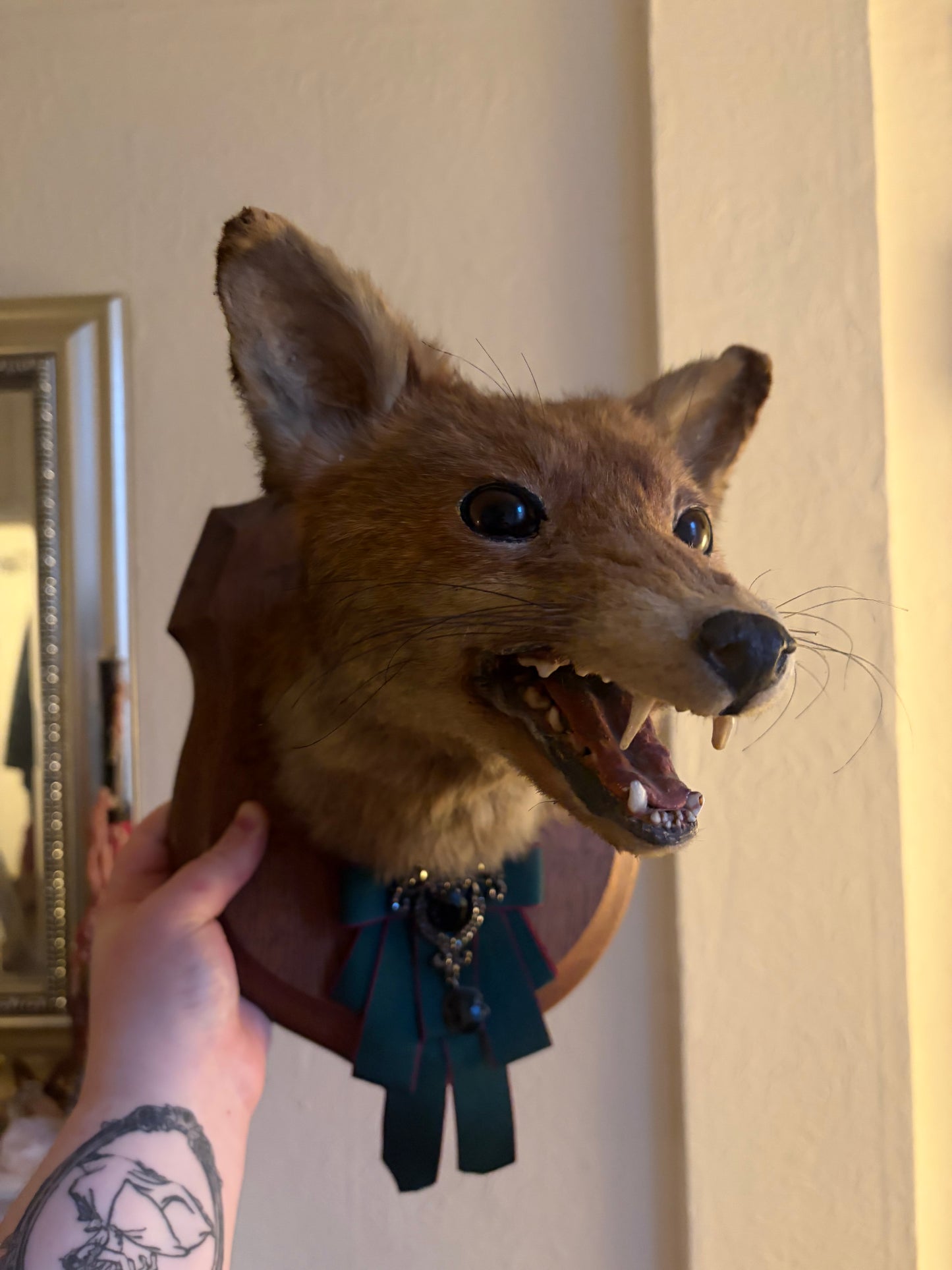 Fox trophy style mount