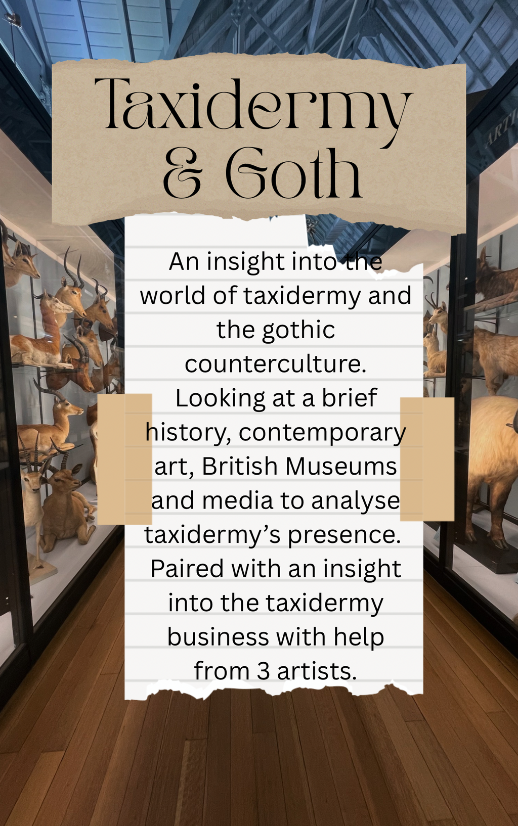 Taxidermy & Goth