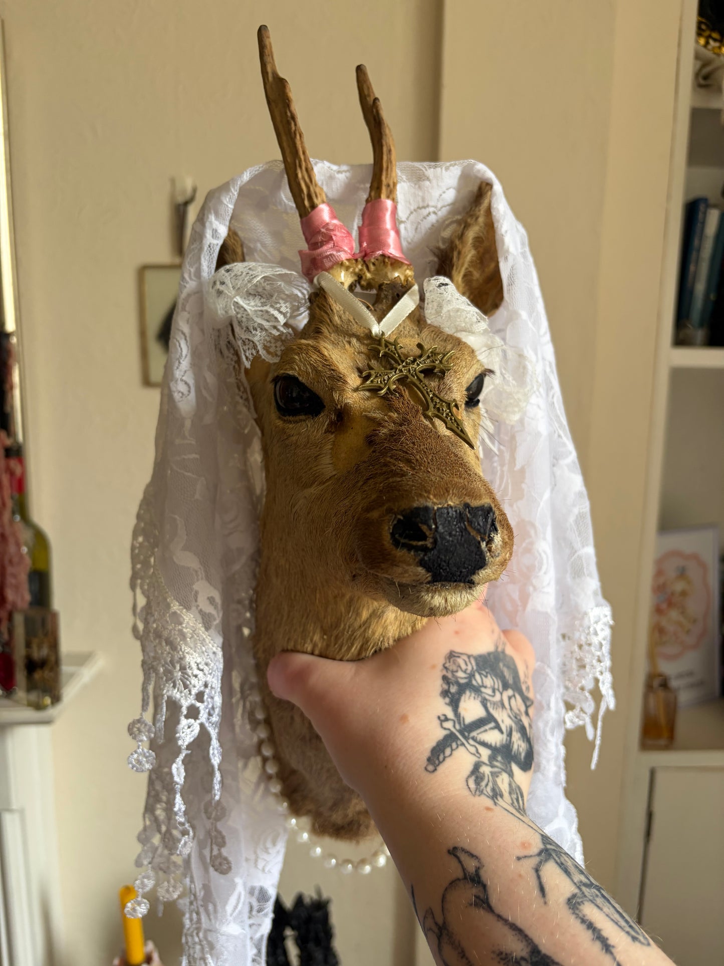 Taxidermy Deer - UK only